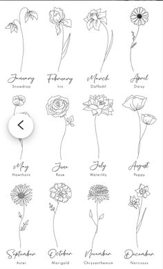 an image of flowers that are in the language of english and french, with their names