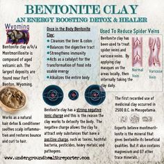 Benefits Of Bentonite Clay, Mucoid Plaque, Bentonite Clay Benefits, Hair Nutrients, Heavy Metal Detox, Magia Das Ervas, Bentonite Clay, Detox Your Body, Body Detox