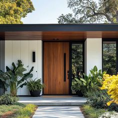 the front door of a modern home with large plants and trees in pots on either side