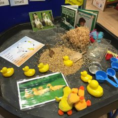 there are many toys on the table with pictures and books to read about ducks in the pond