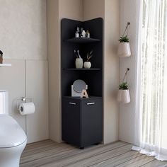 a bathroom with a toilet and shelves in it