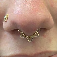 a close up view of a nose with gold piercings on it's side