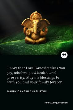 Ganesh Wishes In English, Ganesha Chaturthi Quotes, Ganesh Chaturthi Blessings, Lord Ganesha Wishes, Ganesh Quotes English, Ganesha Quotes Wisdom, Happy Gowri Ganesha Wishes, Ganesh Chaturthi Quotes In English, Ganesha Quotes Thoughts