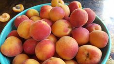 a blue bowl filled with lots of peaches