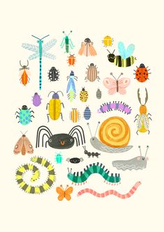 an image of bugs and insects in the shape of a circle