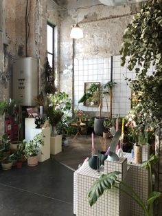 a room filled with lots of potted plants