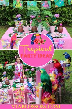 a tropical party with parrots and flowers on the table, plates and cups in front of