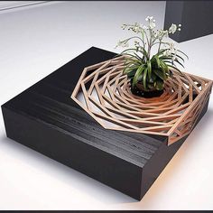 a small plant is sitting on top of a wooden box