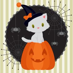 a white cat sitting on top of a pumpkin