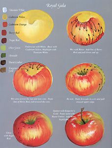 an illustration of different types of apples