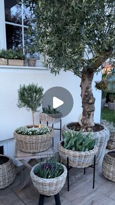 several plants in wicker baskets on a patio