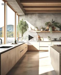 a kitchen with lots of counter space and plants