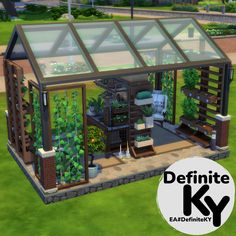 an image of a small greenhouse in the middle of a yard with plants growing inside