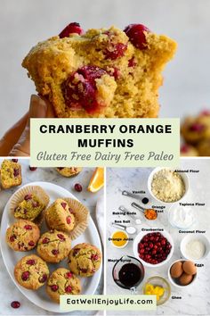 cranberry orange muffins gluten free dairy free palen