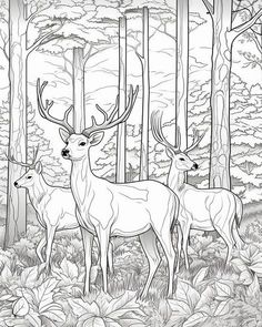 two deer standing in the middle of a forest