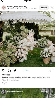 an instagram page with flowers and plants on the left side of the photo, in front of a white tent