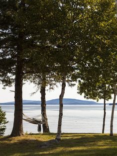 a hammock hanging between two trees on the shore of a body of water