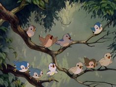 a group of birds sitting on top of a tree branch