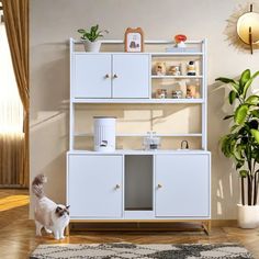 a cat is standing in front of a white shelf with shelves and drawers on it