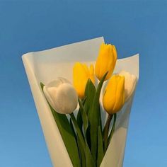 yellow and white tulips in a vase against a blue sky