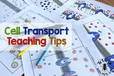 cell transport teaching tips with pencils on top of them and the title overlay reads cell transport teaching tips