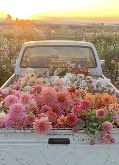 an old truck with flowers in the back