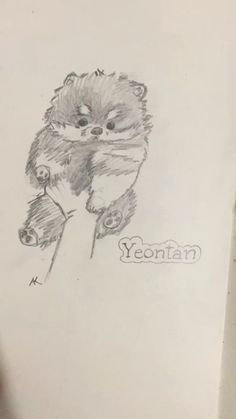 a pencil drawing of a cat with the word yeontan written on it's side