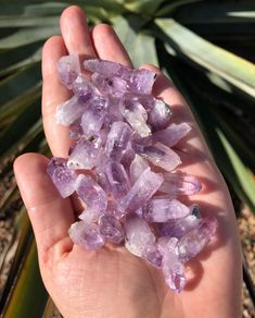 "This listing is for ONE Amethyst crystal from Veracruz, Mexico. Chosen at random after desired size is selected. Natural stones, may have minor flaws Photo 3 - 3-4gm Photo 4 - 4-5gm Photo 5 - 5-6gm Photo 6 - 6-7gm Photo 7 - 9-10gm Photo 8 - 10-11gm Photo 9 - 11-12gm [25mm = 1\" / 1gm = 5ct] PLEASE READ BEFORE PURCHASING: --Be sure to double check measurements and view all photos before purchase. --We combine shipping! Contact to have multiple orders combined, or with any shipping requests. --By Lavender Healing Gemstone Crystals, Lavender Spiritual Crystals Raw Stone, Lavender Raw Stone Spiritual Crystals, Lavender Healing Crystals Raw Stone, Spiritual Lavender Raw Stone Crystals, Rock Box, Hidden Beauty, Orange Calcite, Crystal Points