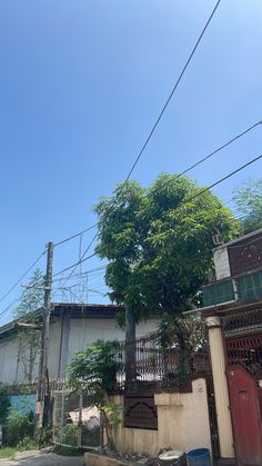 an old building with a tree growing out of it's roof and some power lines above