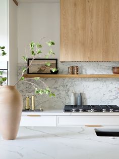 a kitchen with marble counter tops and wooden cabinets in the back drop off area, along with a vase filled with green plants