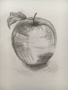 a pencil drawing of an apple