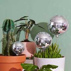 three potted plants with disco balls on them in front of a green wall and cactus