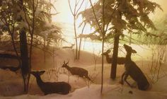 some deer are standing in the snow near trees