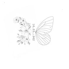 a drawing of a butterfly and flowers on a white background