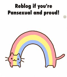 a cat laying on top of a rainbow with the caption, reblg if you're pansexual and proud