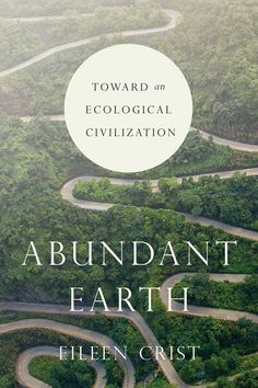 an aerial view of a winding road surrounded by trees and mountains with the words abundant earth written