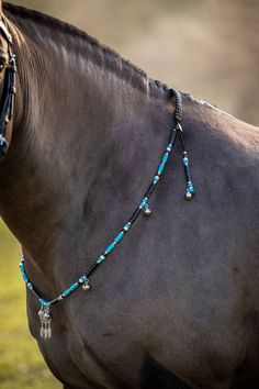 a brown horse wearing a blue beaded halter