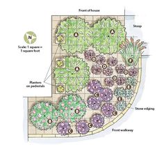 a garden plan with various plants and flowers