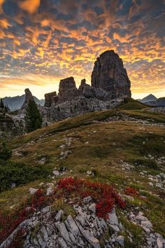 the sun is setting over some rocks and plants on top of a hill with mountains in the background