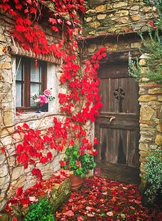 an old stone house with red flowers growing on it's side and a wooden door