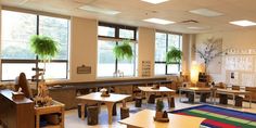 an empty classroom with desks, chairs and potted plants on the windowsill