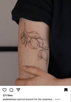 a woman's arm with a tattoo on it that has peaches and leaves