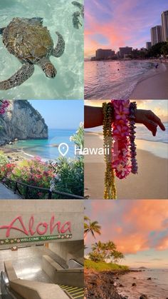 a collage of photos with the words aloha written in different languages and pictures