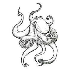 an ink drawing of an octopus with tentacles on it's back and head in the middle