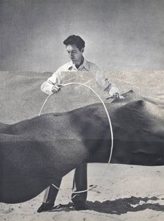 a man standing next to a large animal in the sand