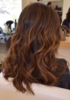 Dark Brunette With Chestnut Highlights, Natural Auburn Highlights In Brown Hair, Brown To Gold Balayage, Honey Red Highlights On Brown Hair, Medium Brown Hair With Copper Balayage, Honey Red Balayage Hair, Caramel Bronze Hair, Cinammon Balayage Hair, Copper Lights Hair