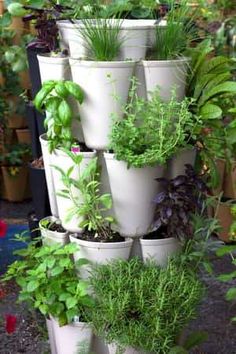 a stack of potted plants on top of each other