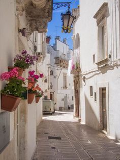 an alleyway with potted plants and flowers on the windowsills in front of white buildings