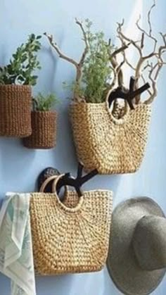 three baskets with plants and hats hanging on the wall