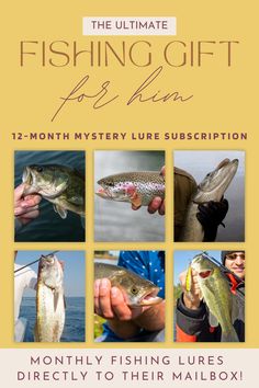 12-Month Mystery Lure Subscription Each month, they'll receive a hand-picked selection of premium freshwater fishing lures from our shop tailored to keep their fishing adventures fresh and exciting. Perfect for birthdays, holidays, or just because!